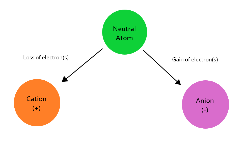 Intro to Fert Figure 4 nutrient ions